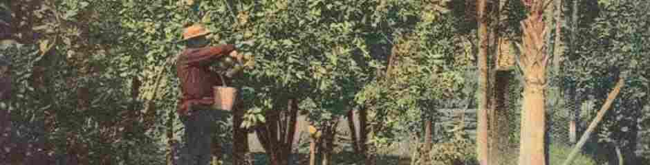 Florida Public Facts