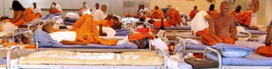 Florida Prison Inmate Search